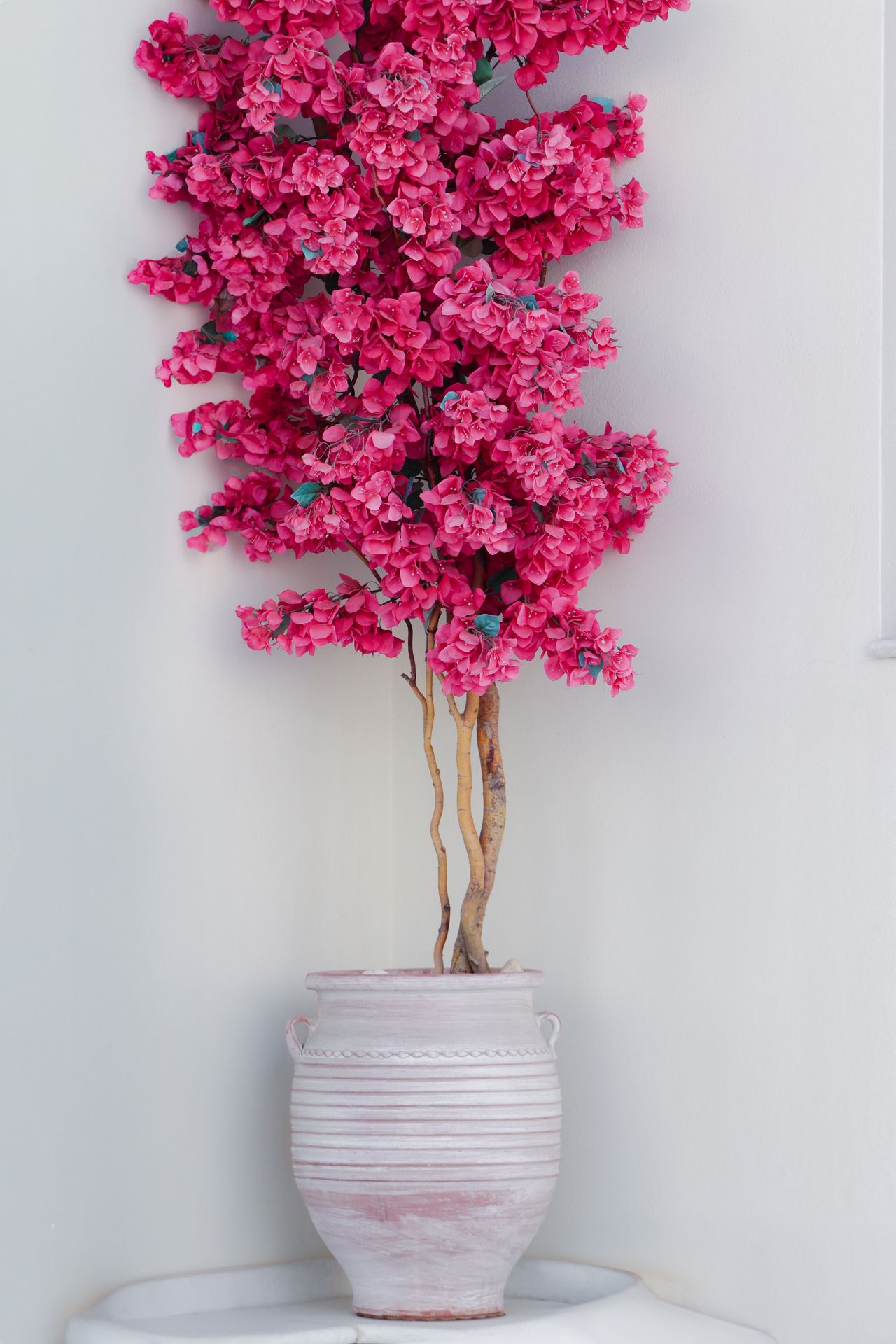 A peaceful detail at Hotel Syrianos